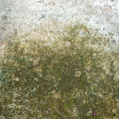 Groene aanslag verwijderen